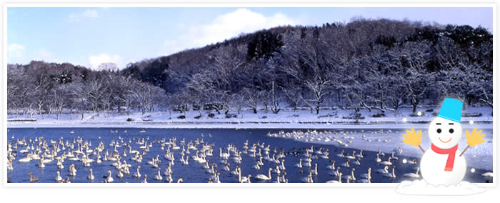 冬の高松公園